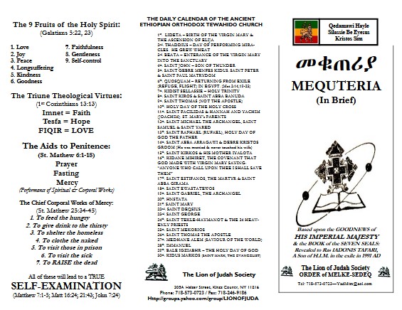 Amharic fiction books pdf